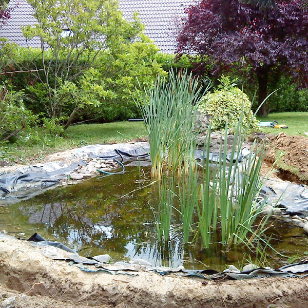 bassins d'agrément - paysagiste jardinier Yvelines 78