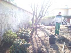 chantier-plantations-12