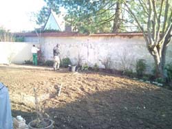 chantier-plantations-15