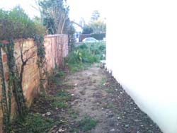 chantier-plantations-3